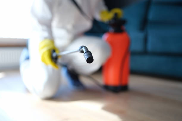 Best Emergency Mold Remediation  in Stanaford, WV